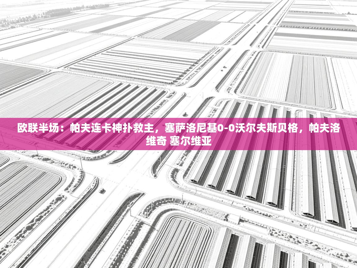 欧联半场:帕夫连卡神扑救主,塞萨洛尼基0-0沃尔夫斯贝格,帕夫洛维奇 塞尔维亚 第1张