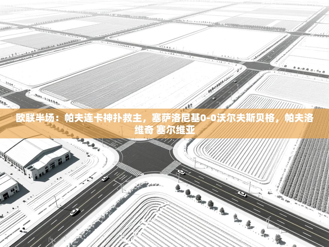 欧联半场:帕夫连卡神扑救主,塞萨洛尼基0-0沃尔夫斯贝格,帕夫洛维奇 塞尔维亚 第2张