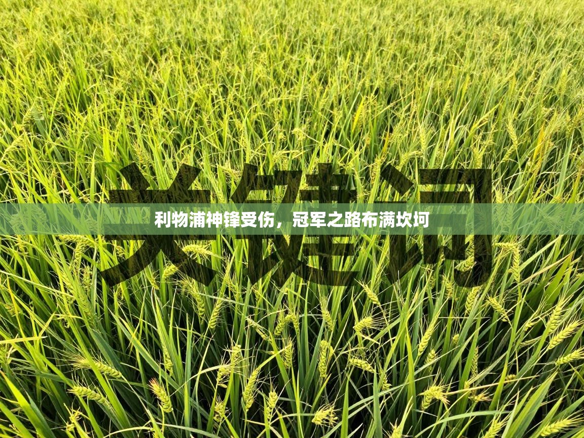 利物浦神锋受伤，冠军之路布满坎坷