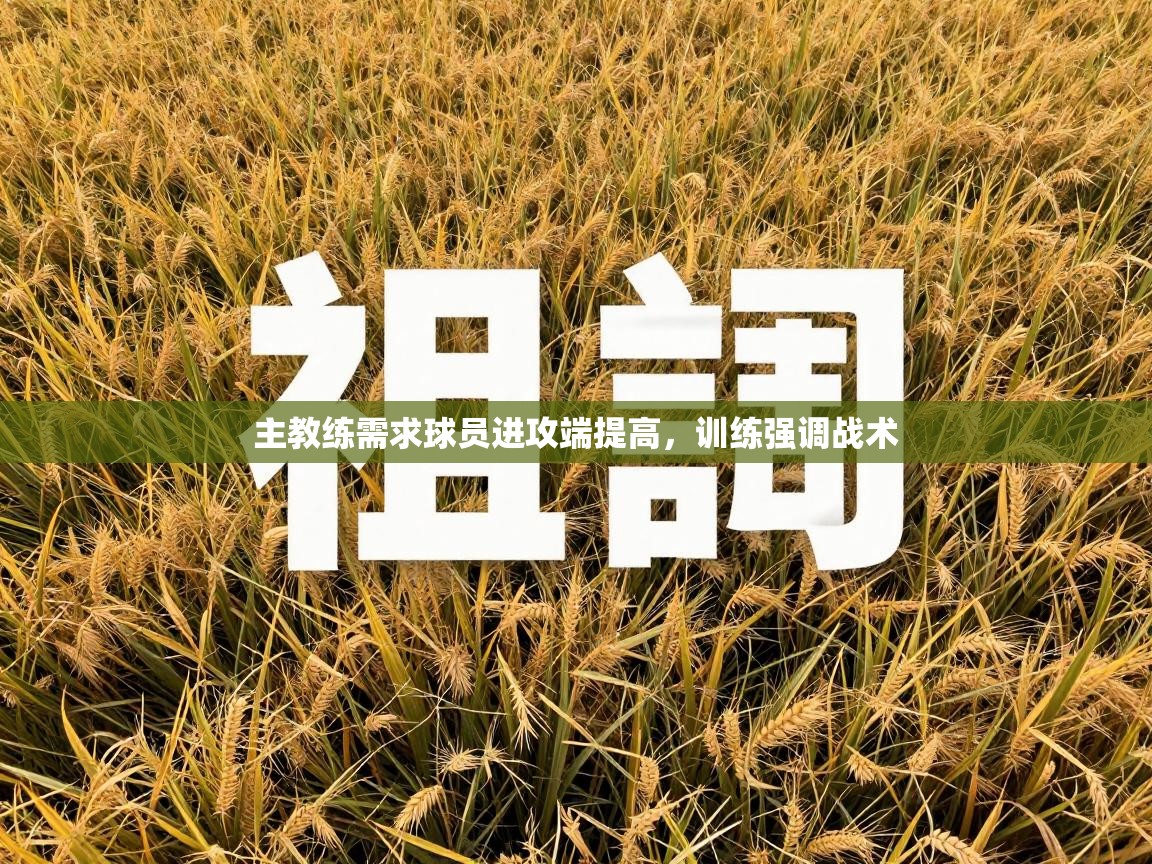 主教练需求球员进攻端提高，训练强调战术